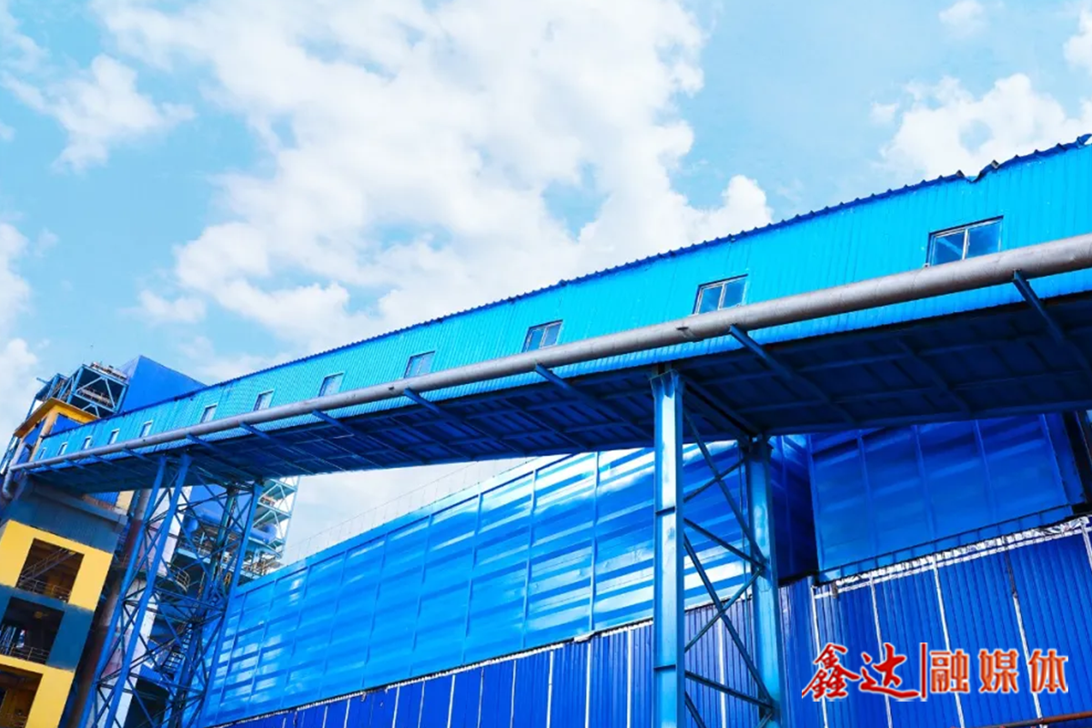 精益赋能丨原料厂关注细节、创新思维，精益管理显成效！