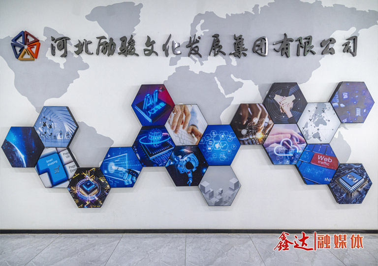 河北励骏文化发展集团有限公司